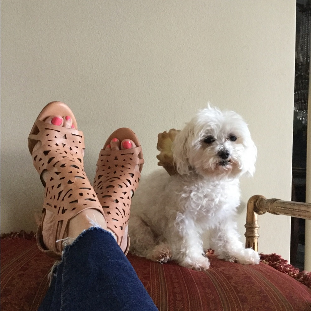 Laser cut lattice work shoe! Puppy not included;)
